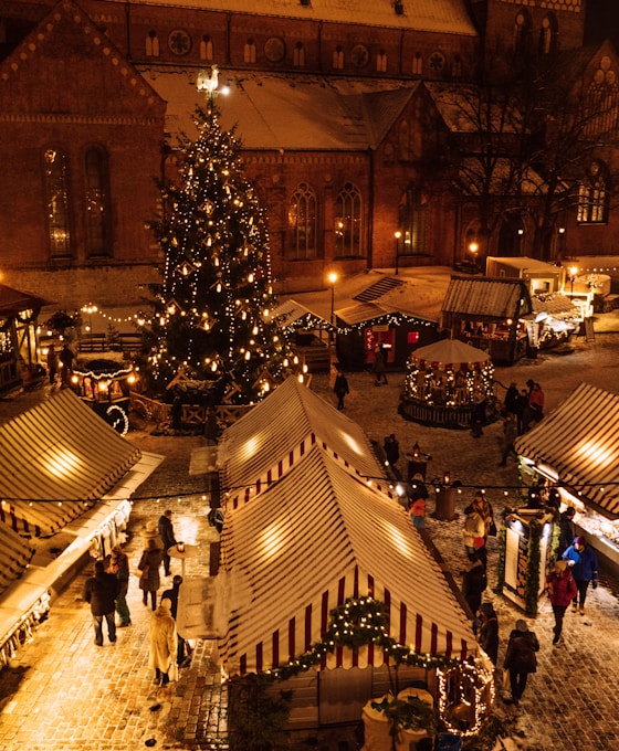 A grand illuminated Christmas tree at the Markt